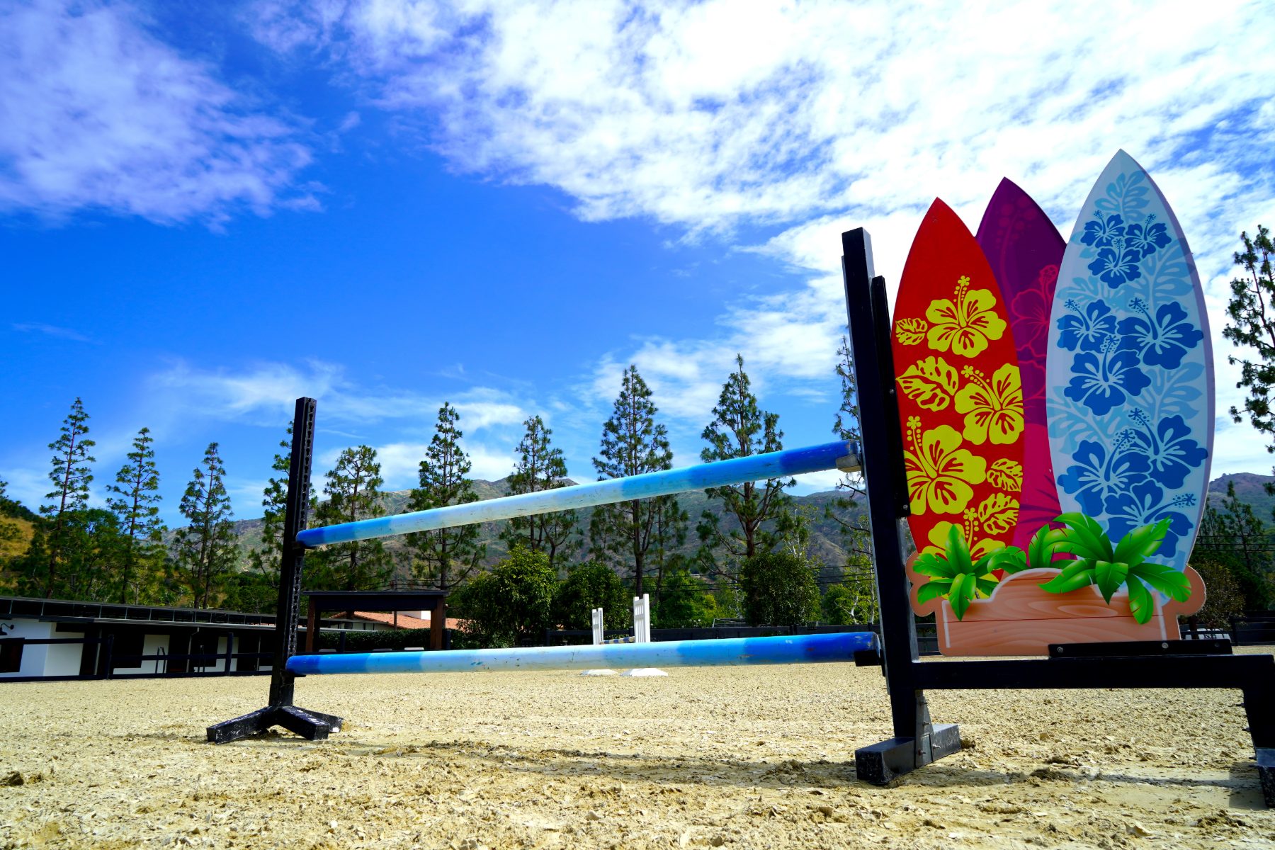 Coastal-themed competition jumps