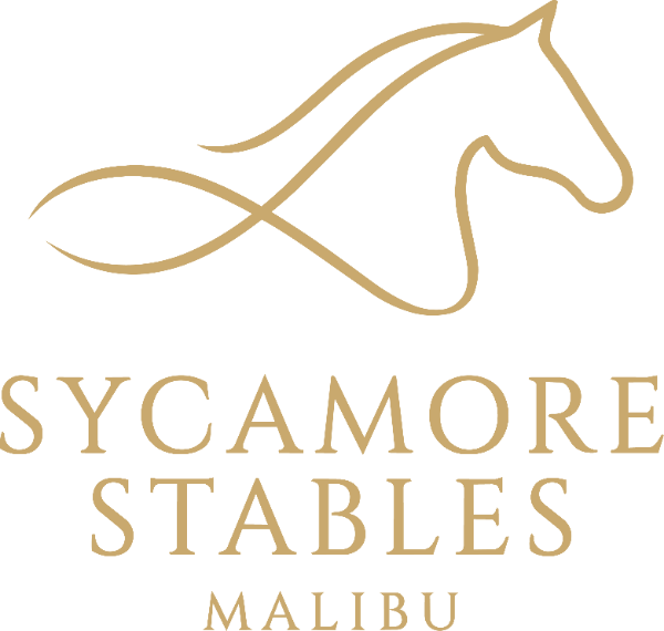 Sycamore logo in brass