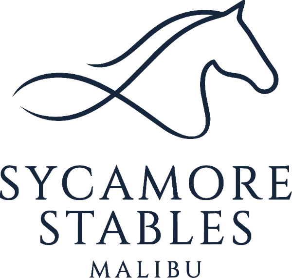 Sycamore logo in navy