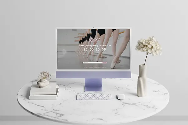 Ballet at the Park website design